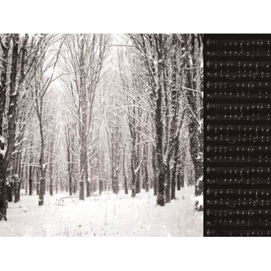 Christmas Edition - Snowcapped mønsterpapir fra KaiserCraft