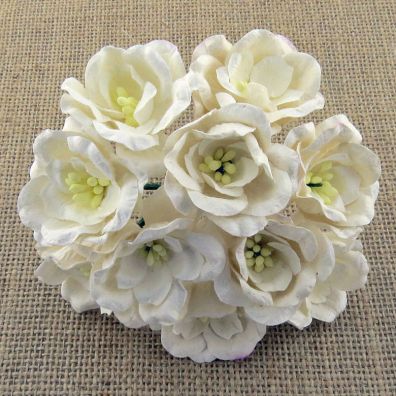 Mulberry Magnolias white