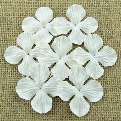 Hydrangea Blooms White 50 mm