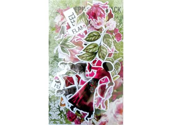 Aurora Ephemera Pack fra 13arts