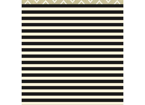 Add on Maj - EKSTRA Stay Curious Mønsterpapir fra American Crafts