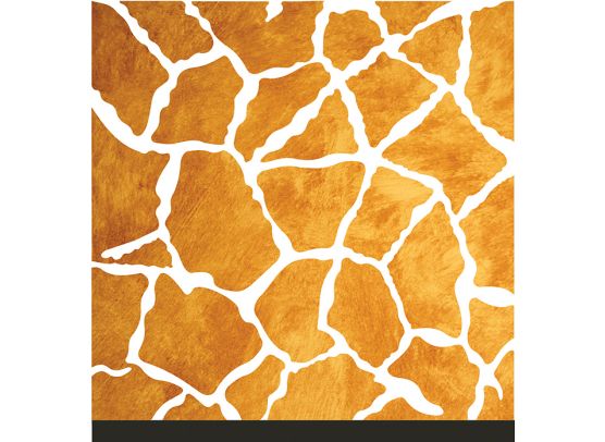 Add on Maj - EKSTRA Stay Curious Mønsterpapir fra American Crafts