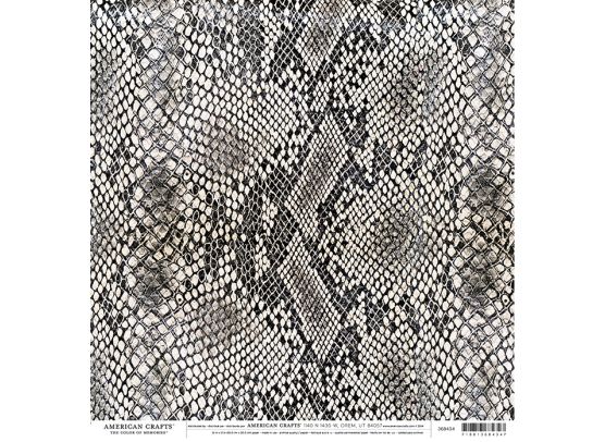 Add on Maj - EKSTRA Stay Curious Mønsterpapir fra American Crafts