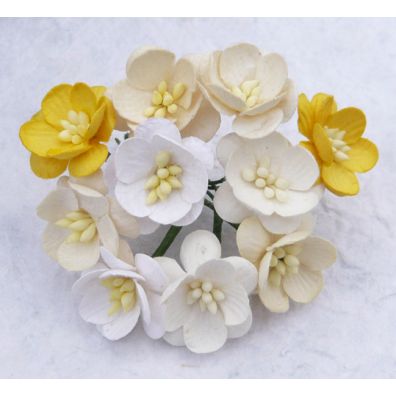 Add on September - 50 Mixed White/Cream m Cherry Blossoms 25 mm