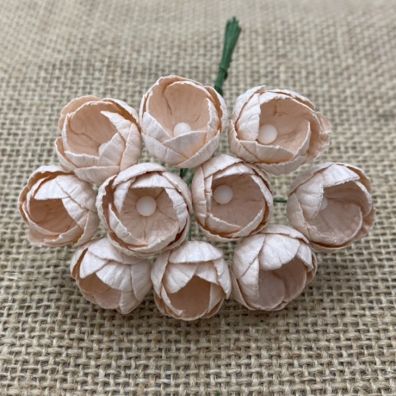 50 Pale Peach Mulberry Paper Buttercups 25 mm