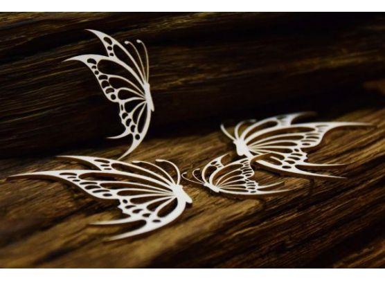 Snipart Chipboard - Mandalas Dreams - Butterflies 1
