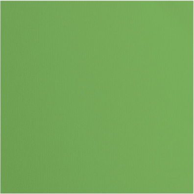 Florence Cardstock Paper 216 g - Moss