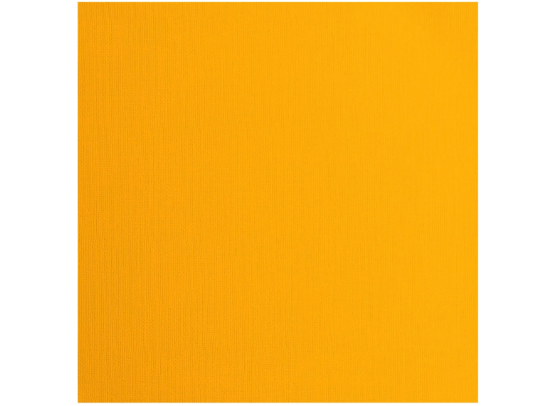 Florence Cardstock Paper 216 g - Apricot