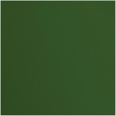 Florence Cardstock Paper 216 g - Pine