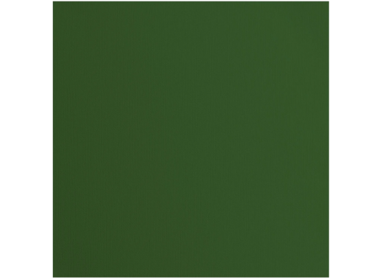 Florence Cardstock Paper 216 g - Pine