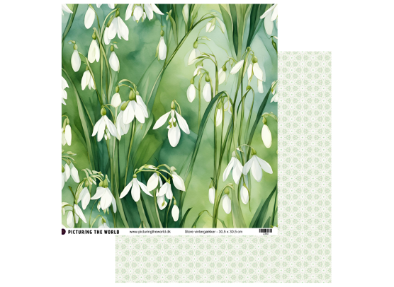 Add on Januar - EKSTRA PTW Design - Store Vintergække 12x12 mønsterpapir- sælges kun til kitklubmedlemmer