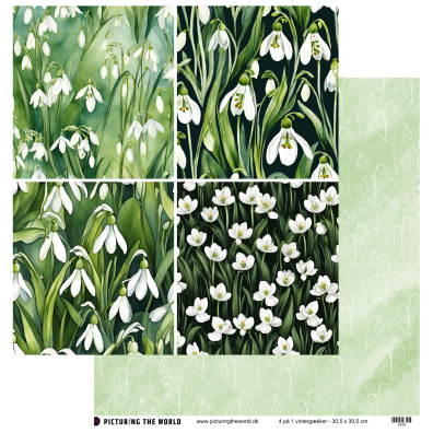 Add on Januar - EKSTRA PTW Design - 4 på 1 Vintergække 12x12 mønsterpapir- sælges kun til kitklubmedlemmer