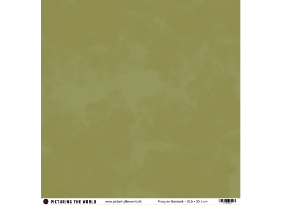 PTW Design - 12x12 Basisark - Mosgrøn
