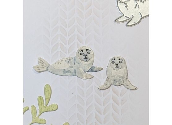 Gummiapan Dies - Seals