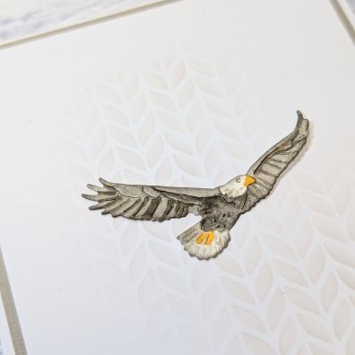 Gummiapan Dies - Eagle