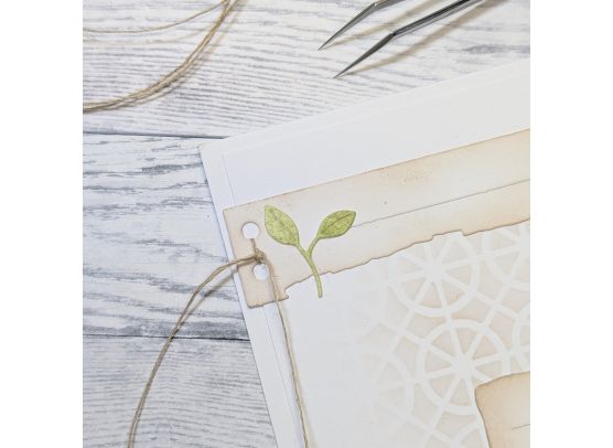 Gummiapan Dies - Small Sprout