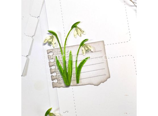 Gummiapan Dies - Snowdrops