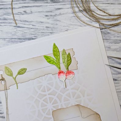 Gummiapan Dies - Radishes