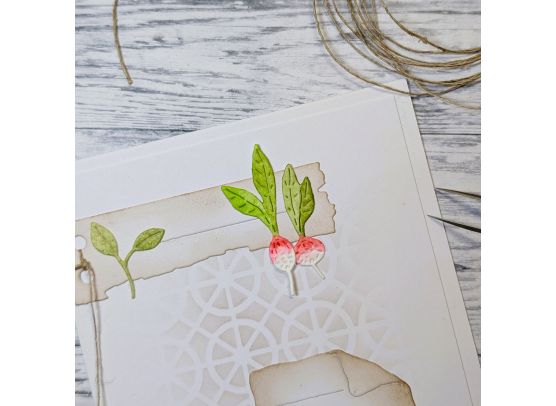 Gummiapan Dies - Radishes