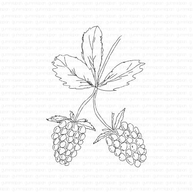 Gummiapan - Gummistemple - Raspberry