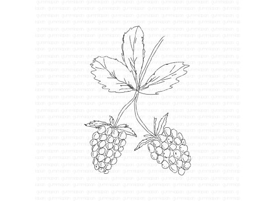 Gummiapan - Gummistemple - Raspberry