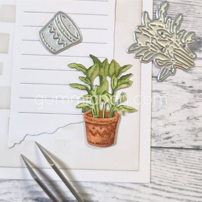 Gummiapan - Dies - Tropical Plant