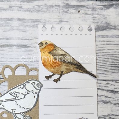 Gummiapan - Dies - Bird