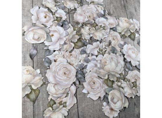 Dan Cuts - Hvide Roser