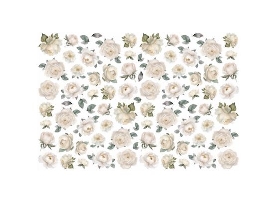 Dan Cuts - Hvide Roser