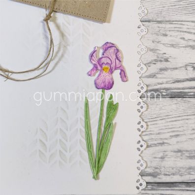 Gummiapan Dies - Iris