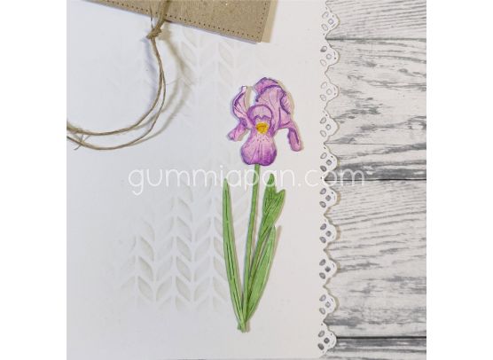 Gummiapan Dies - Iris