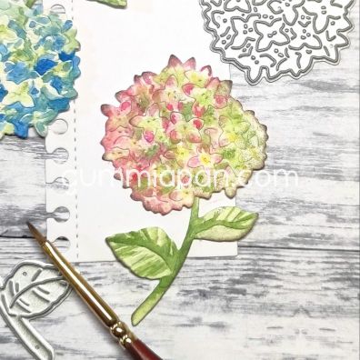 Gummiapan Dies - Hydrangea