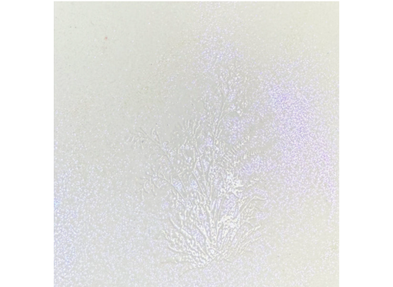 Add on April - Lindy's Stamp Gang - Glitz Spritz - Unicorn Bling 2 oz.