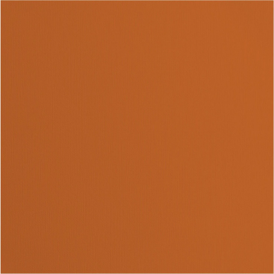 Florence Cardstock Paper 216 g - Fox