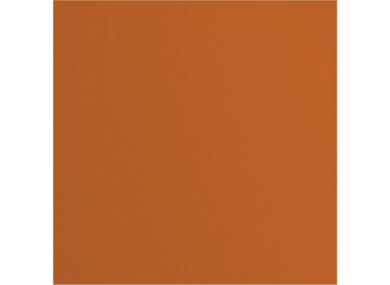 Florence Cardstock Paper 216 g - Fox
