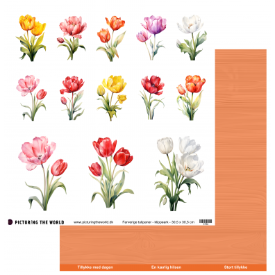 Add on Juni - PTW Design - Farverige Blomster - Farverige Tulipaner - 12x12 klippeark