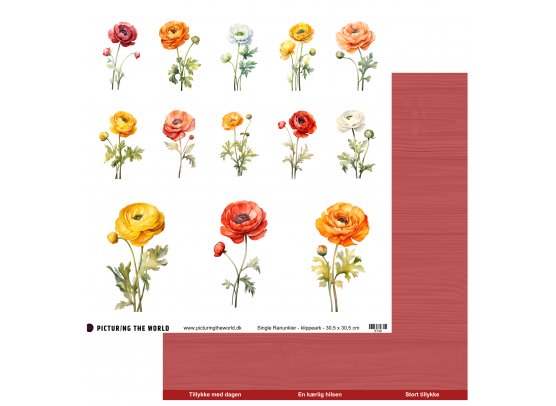 Add on Juni - PTW Design - Farverige Blomster - Single Ranunkler - 12x12 klippeark